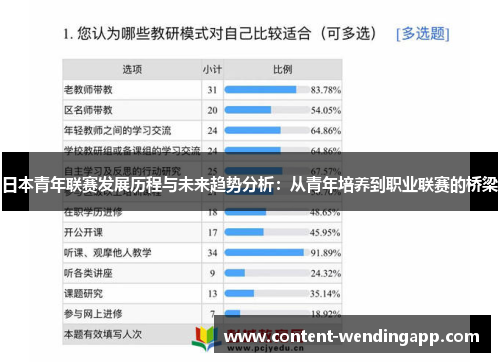 日本青年联赛发展历程与未来趋势分析：从青年培养到职业联赛的桥梁