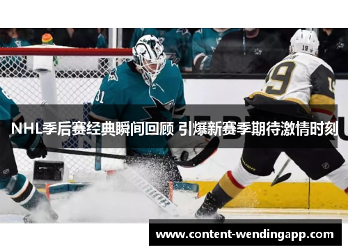 NHL季后赛经典瞬间回顾 引爆新赛季期待激情时刻