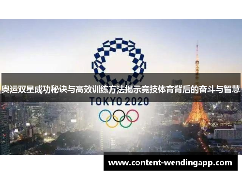 奥运双星成功秘诀与高效训练方法揭示竞技体育背后的奋斗与智慧