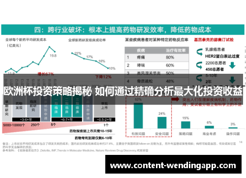 欧洲杯投资策略揭秘 如何通过精确分析最大化投资收益