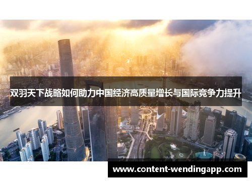 双羽天下战略如何助力中国经济高质量增长与国际竞争力提升