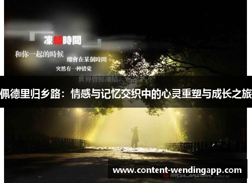 佩德里归乡路：情感与记忆交织中的心灵重塑与成长之旅