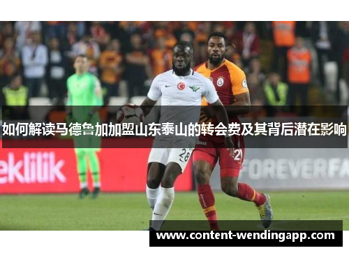 如何解读马德鲁加加盟山东泰山的转会费及其背后潜在影响