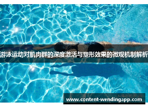 游泳运动对肌肉群的深度激活与塑形效果的微观机制解析