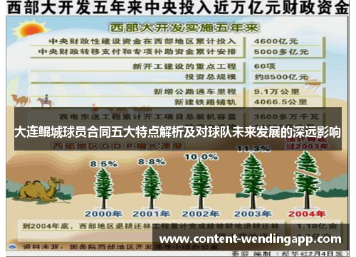 大连鲲城球员合同五大特点解析及对球队未来发展的深远影响