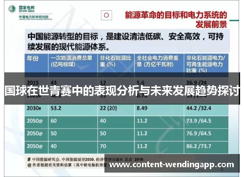 国球在世青赛中的表现分析与未来发展趋势探讨