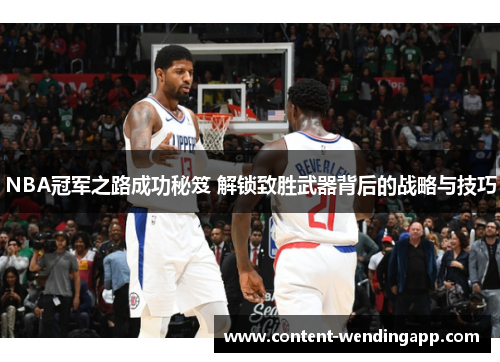 NBA冠军之路成功秘笈 解锁致胜武器背后的战略与技巧