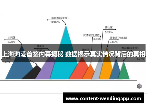 上海海港首签内幕揭秘 数据揭示真实情况背后的真相