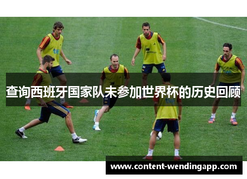 查询西班牙国家队未参加世界杯的历史回顾