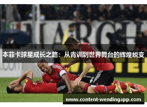 本菲卡球星成长之路：从青训到世界舞台的辉煌蜕变