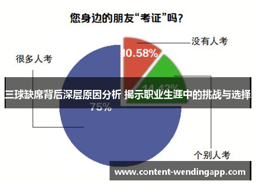 三球缺席背后深层原因分析 揭示职业生涯中的挑战与选择