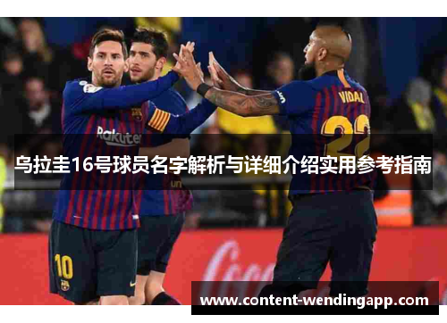 乌拉圭16号球员名字解析与详细介绍实用参考指南 乌拉圭16号球员名字解析与详细介绍实用参考指南
