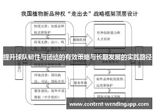 提升球队韧性与团结的有效策略与长期发展的实践路径