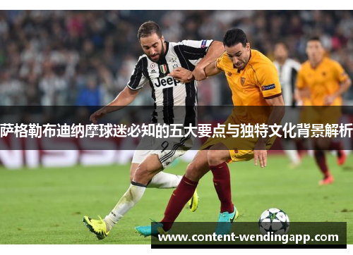 萨格勒布迪纳摩球迷必知的五大要点与独特文化背景解析
