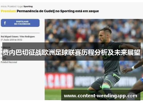 费内巴切征战欧洲足球联赛历程分析及未来展望