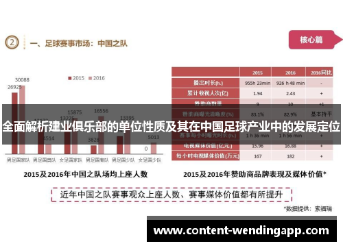 全面解析建业俱乐部的单位性质及其在中国足球产业中的发展定位