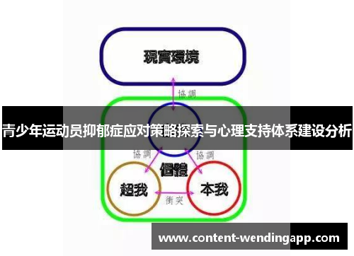 青少年运动员抑郁症应对策略探索与心理支持体系建设分析