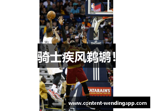 骑士疾风鹈鹕！