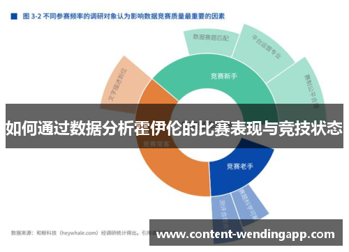 如何通过数据分析霍伊伦的比赛表现与竞技状态