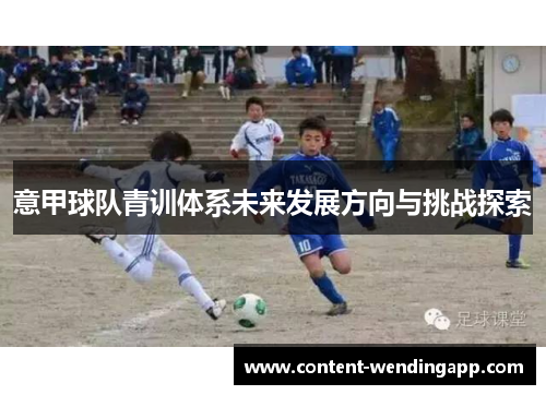 意甲球队青训体系未来发展方向与挑战探索