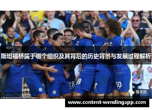 斯坦福桥属于哪个组织及其背后的历史背景与发展过程解析