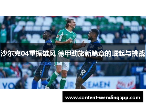 沙尔克04重振雄风 德甲劲旅新篇章的崛起与挑战