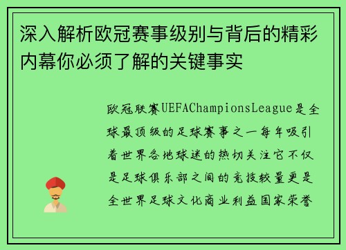 深入解析欧冠赛事级别与背后的精彩内幕你必须了解的关键事实